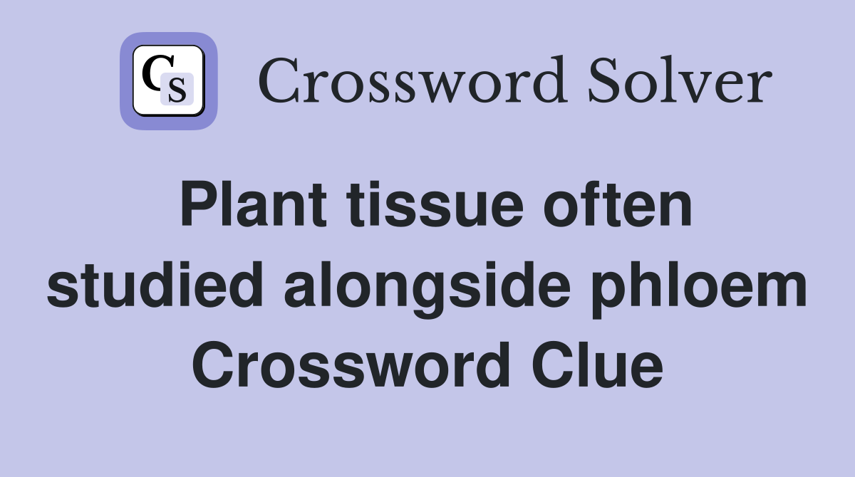 Plant tissue often studied alongside phloem Crossword Clue