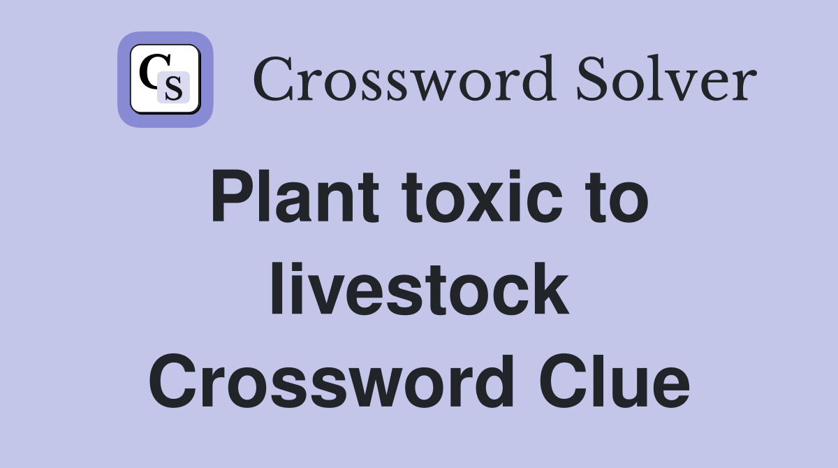 Plant toxic to livestock Crossword Clue