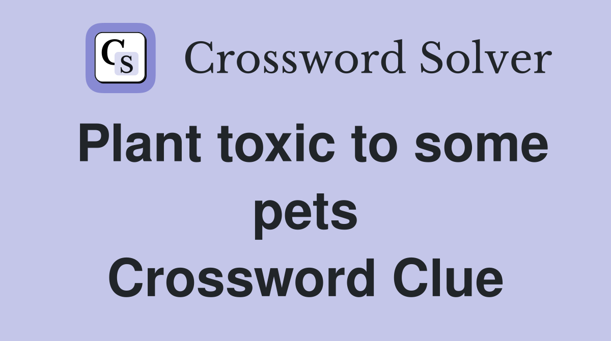 Plant toxic to some pets Crossword Clue