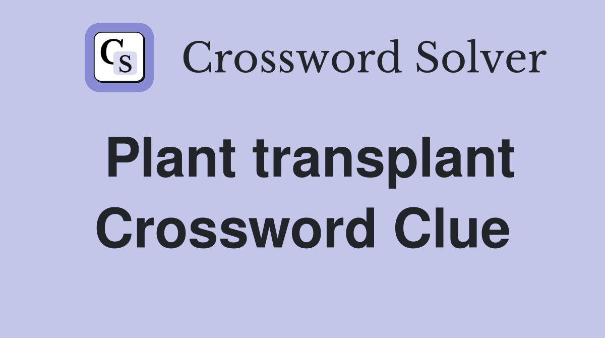 Plant transplant Crossword Clue