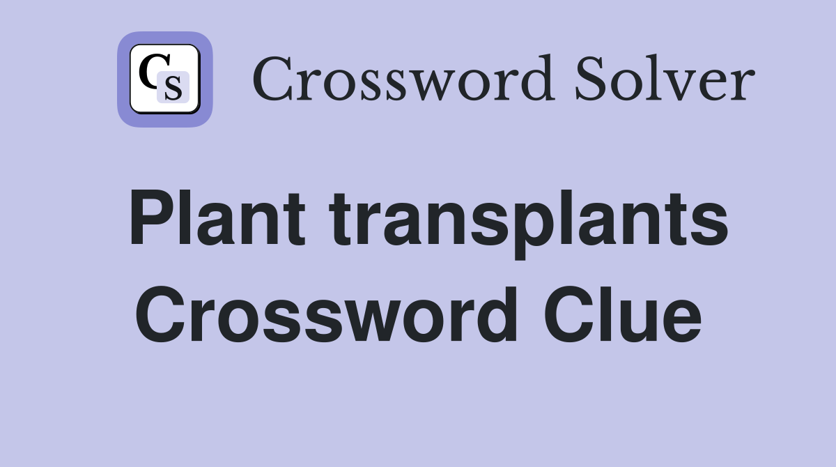 Plant transplants Crossword Clue