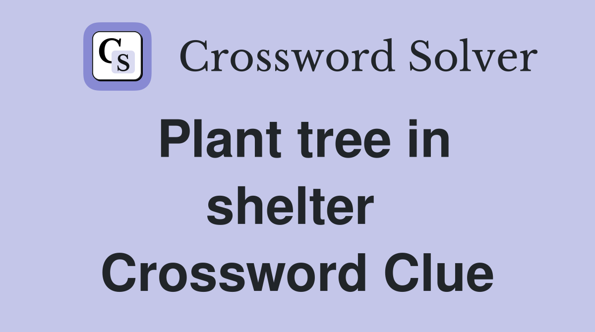 Plant tree in shelter  Crossword Clue