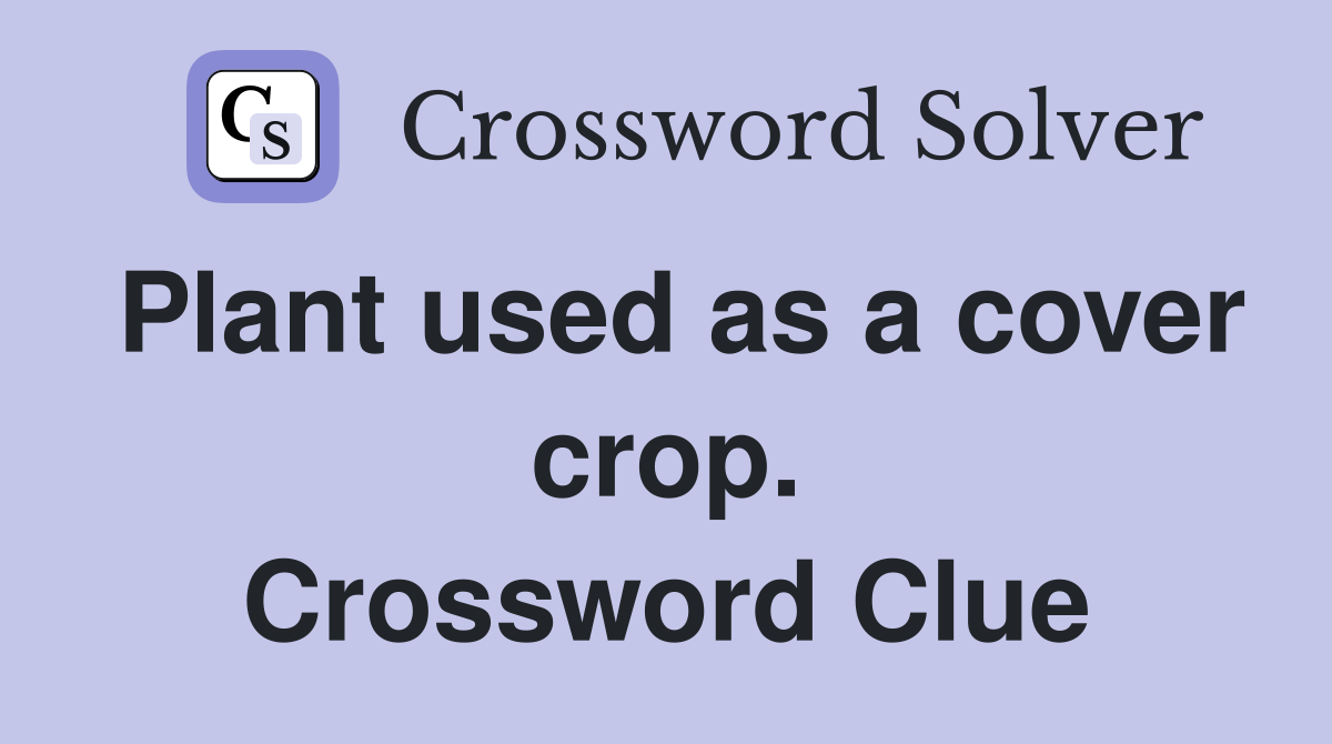 Plant used as a cover crop. Crossword Clue