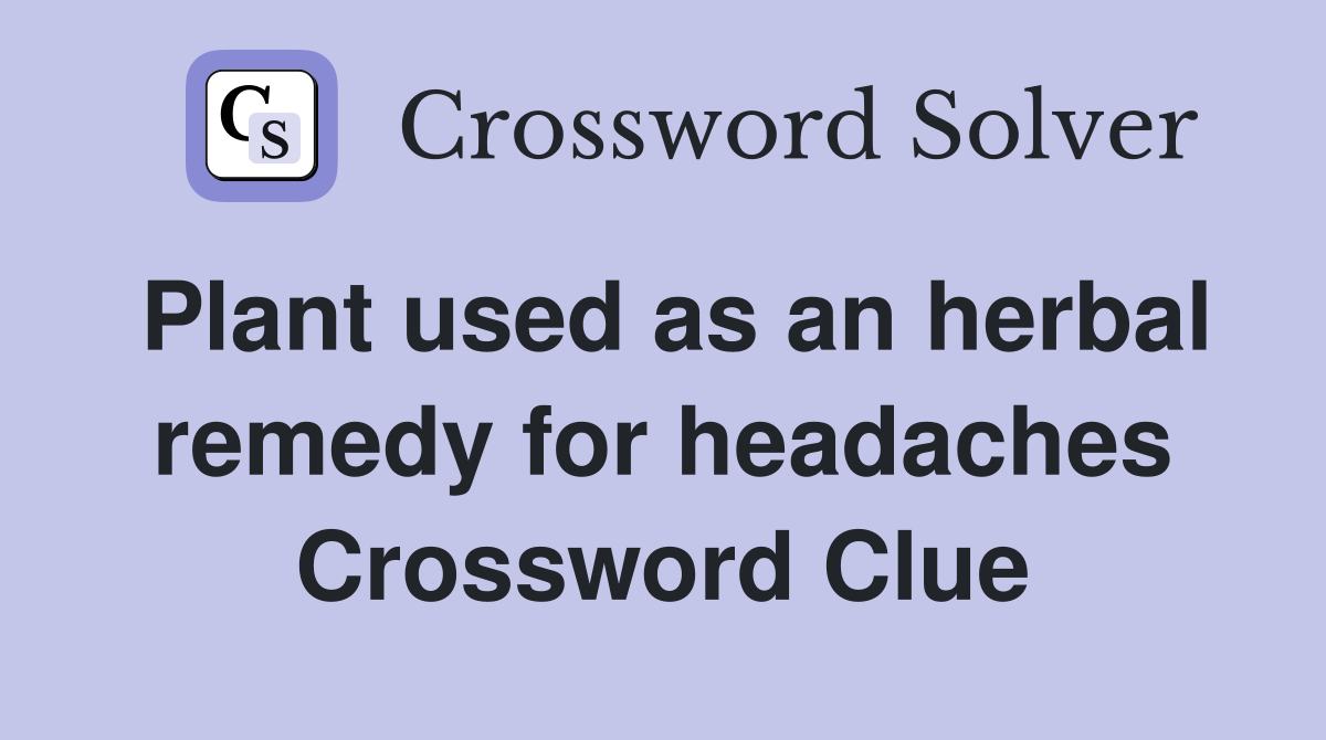 Plant used as an herbal remedy for headaches Crossword Clue
