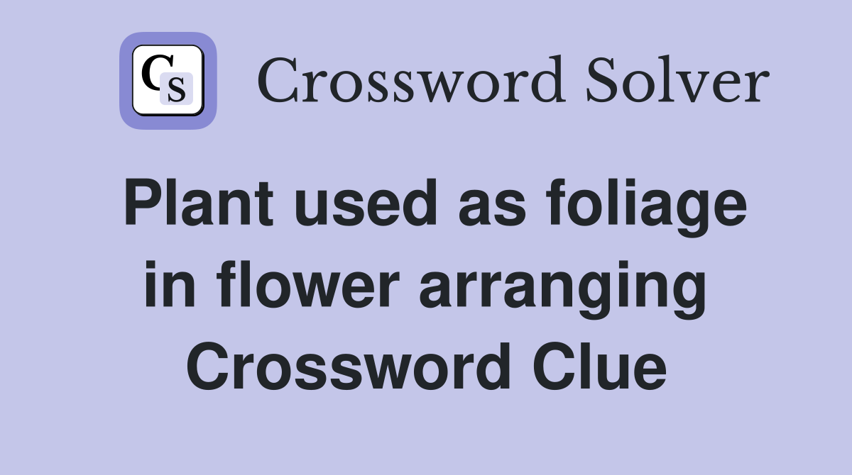 Plant used as foliage in flower arranging Crossword Clue