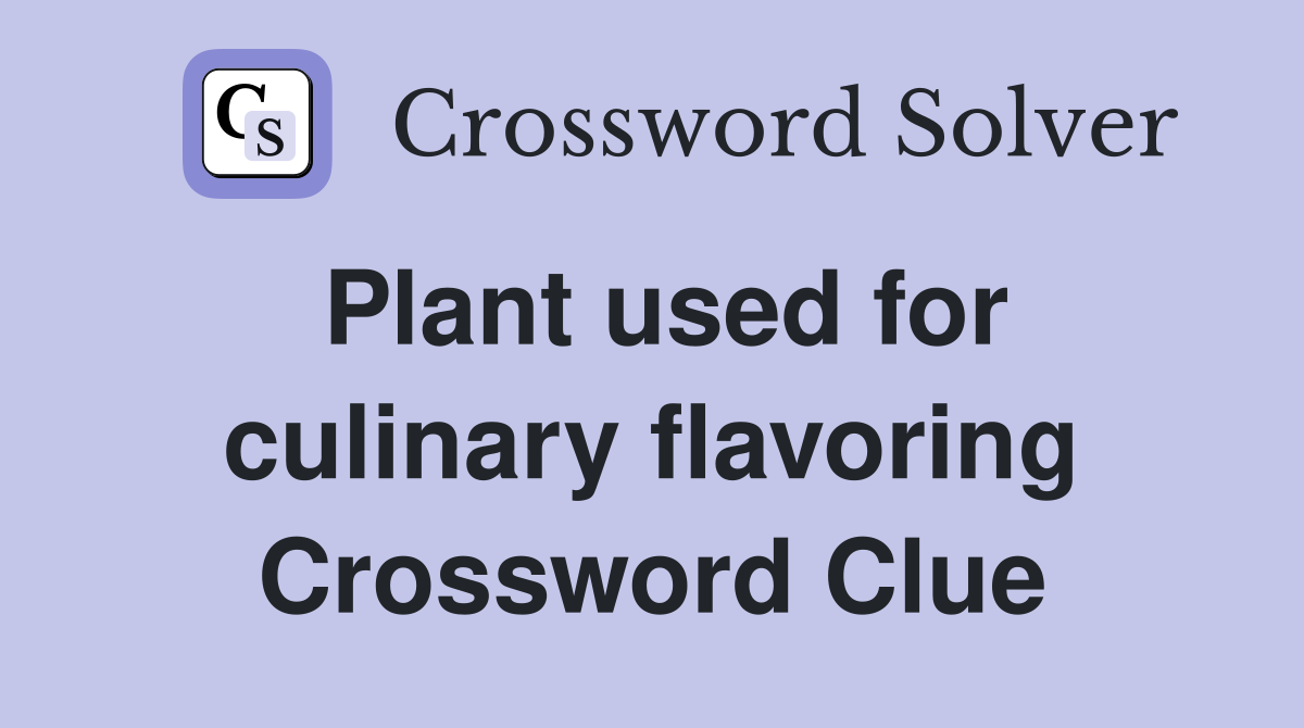 Plant used for culinary flavoring Crossword Clue