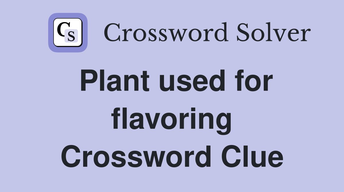 Plant used for flavoring Crossword Clue