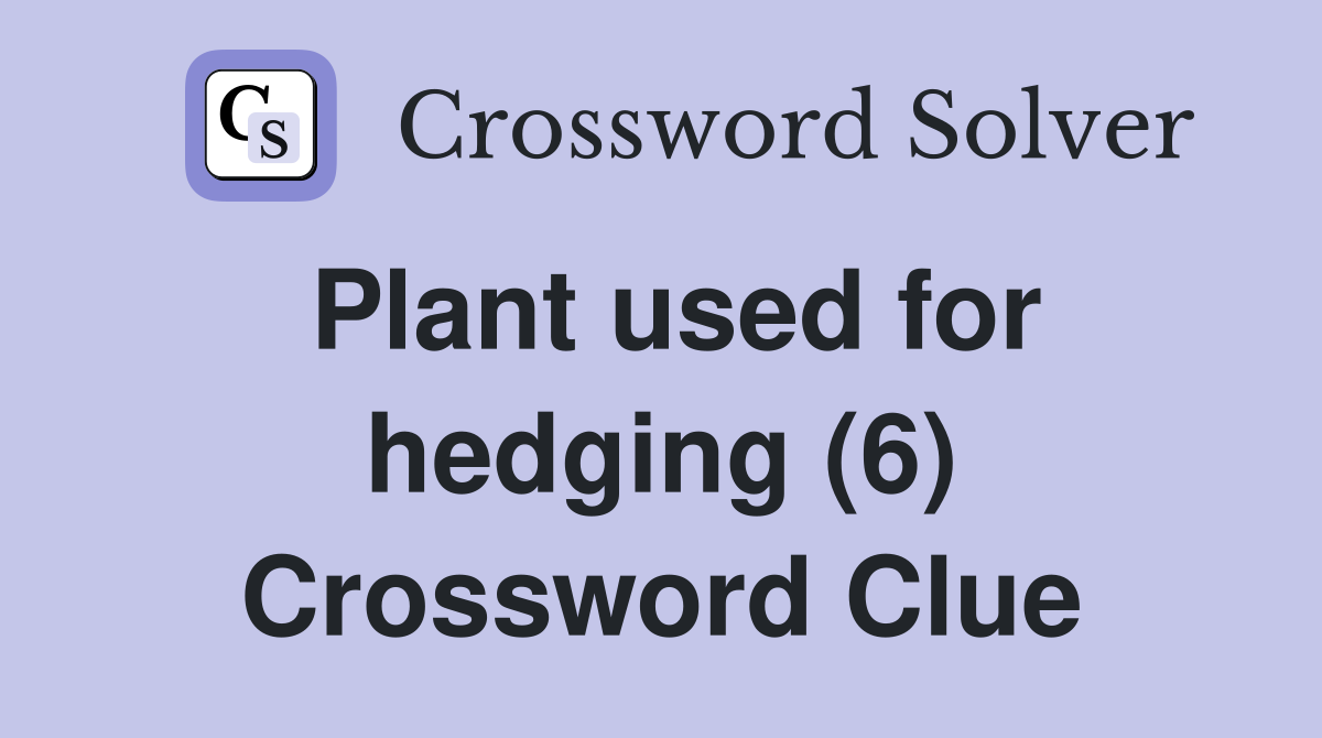 Plant used for hedging (6) Crossword Clue