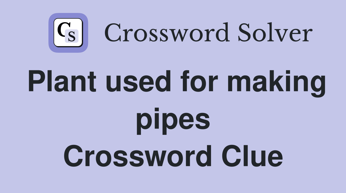 Plant used for making pipes Crossword Clue