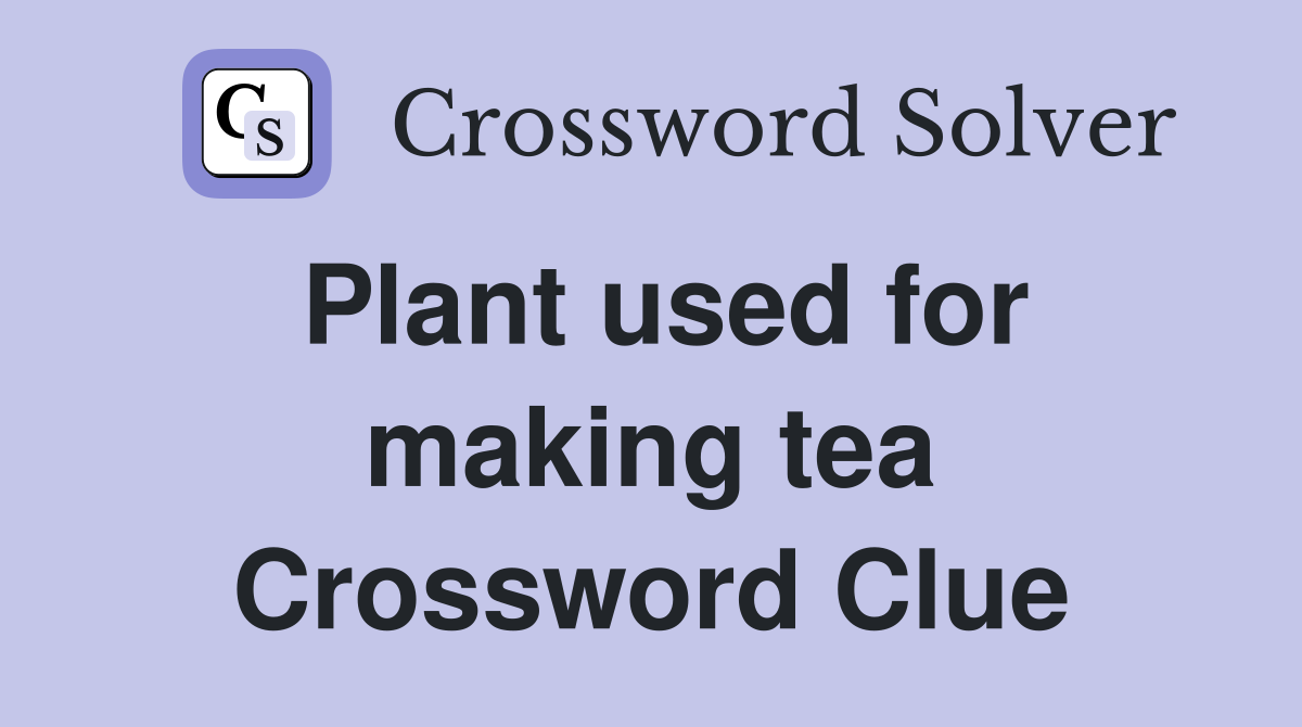 Plant used for making tea Crossword Clue