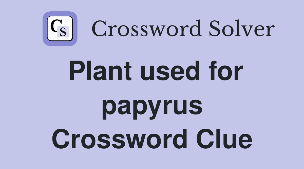 Plant used for papyrus Crossword Clue