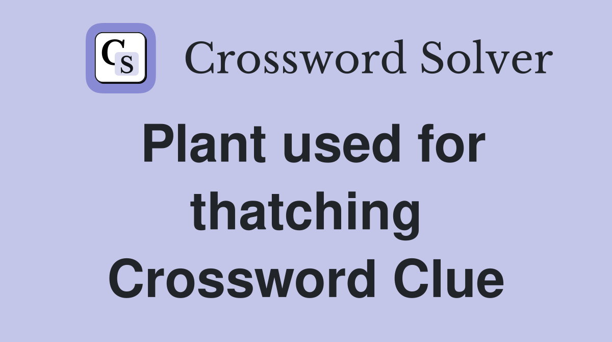 Plant used for thatching Crossword Clue