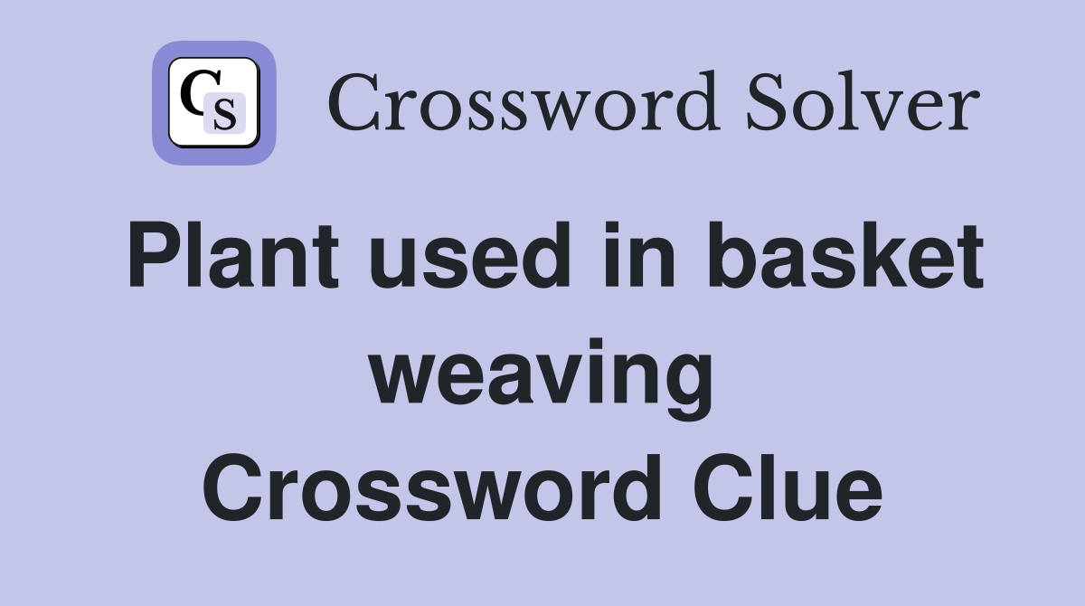 Plant used in basket weaving Crossword Clue