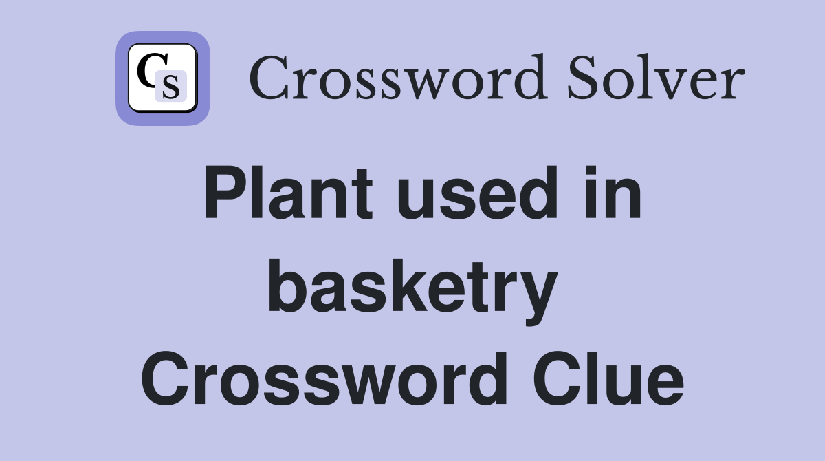 Plant used in basketry Crossword Clue