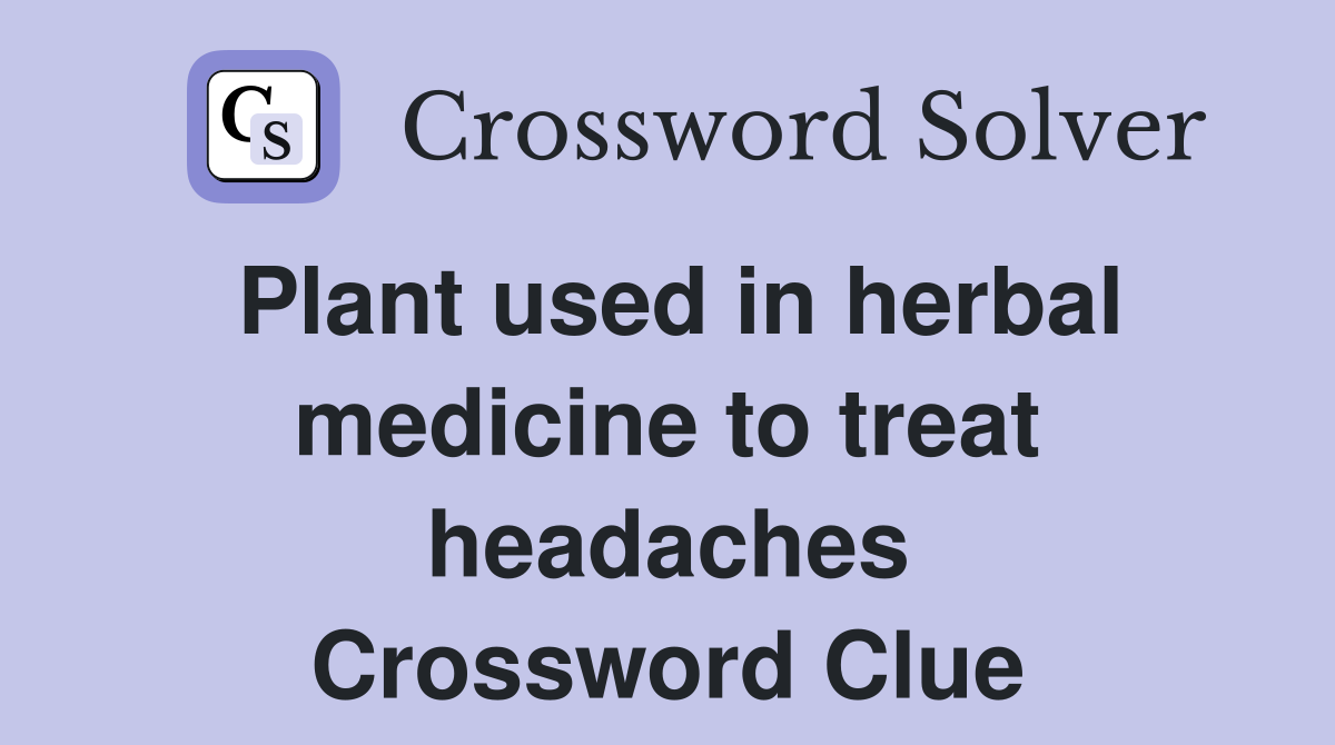 Plant used in herbal medicine to treat headaches Crossword Clue