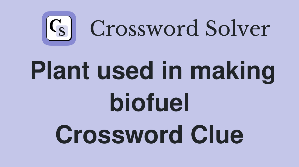 Plant used in making biofuel Crossword Clue