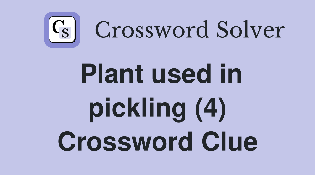 Plant used in pickling (4) Crossword Clue