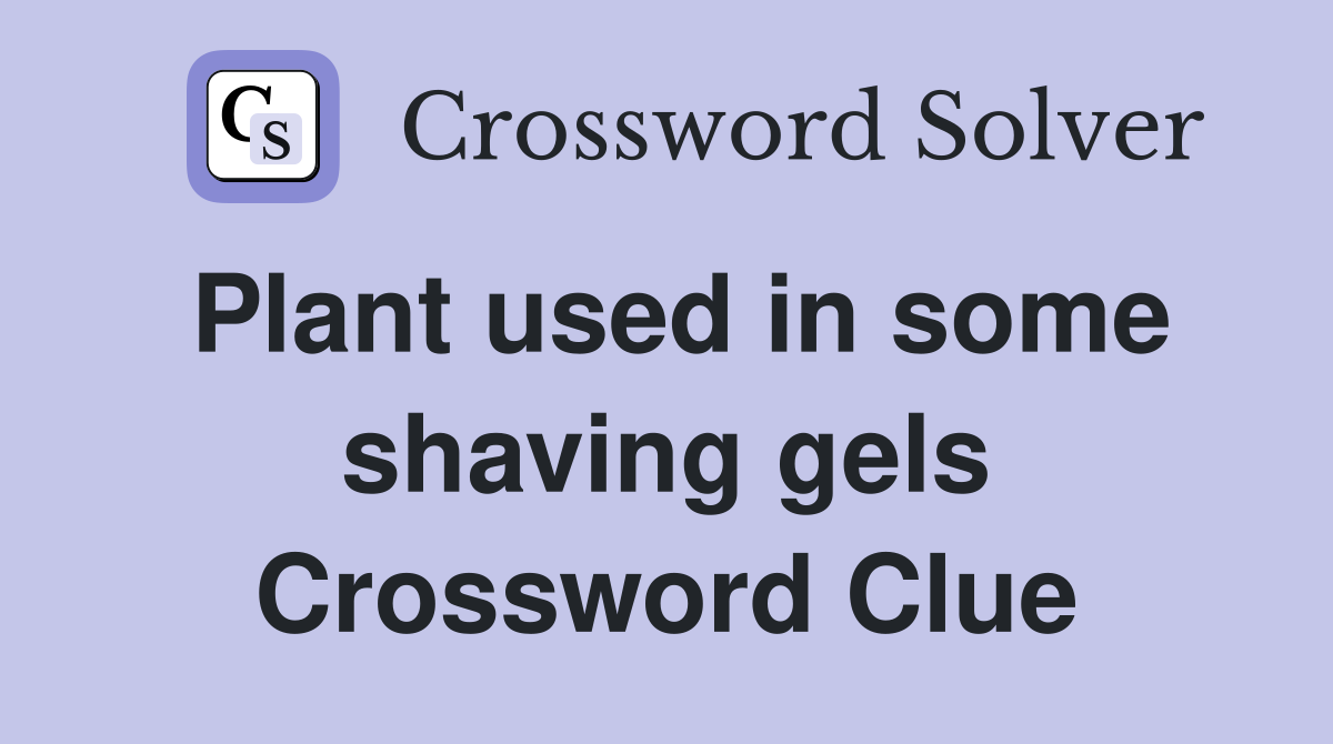 Plant used in some shaving gels Crossword Clue