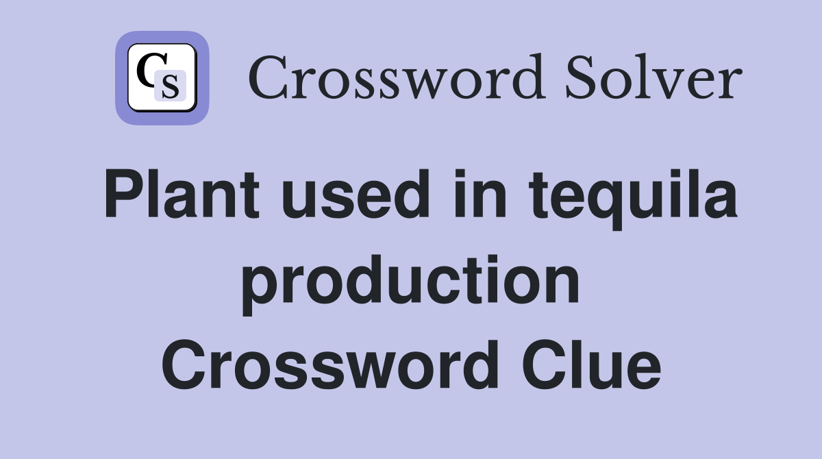 Plant used in tequila production Crossword Clue