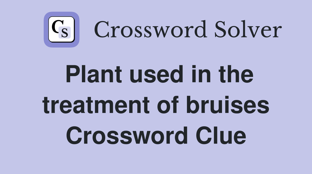 Plant used in the treatment of bruises Crossword Clue