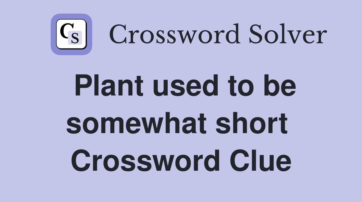 Plant used to be somewhat short  Crossword Clue