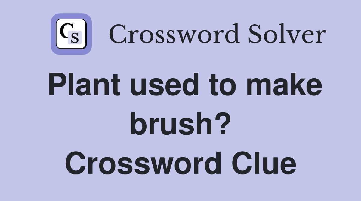 Plant used to make brush? Crossword Clue