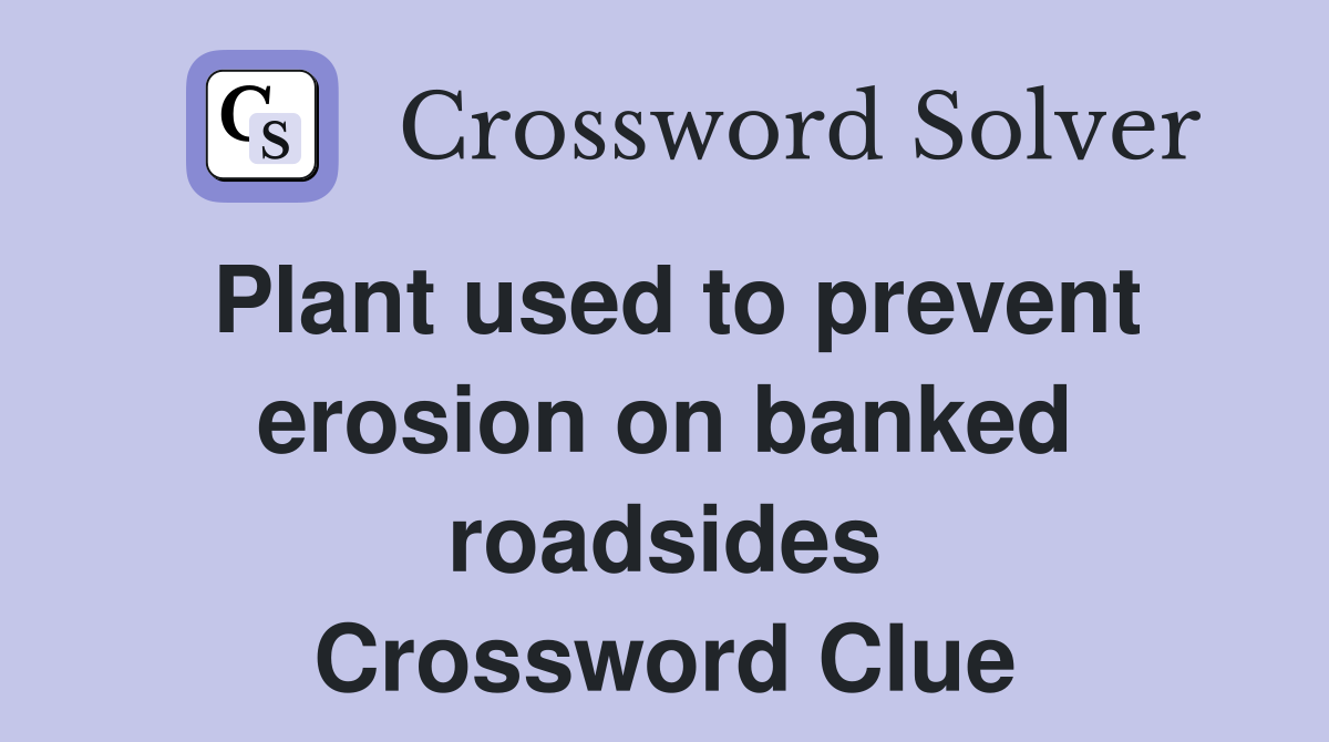 Plant used to prevent erosion on banked roadsides Crossword Clue