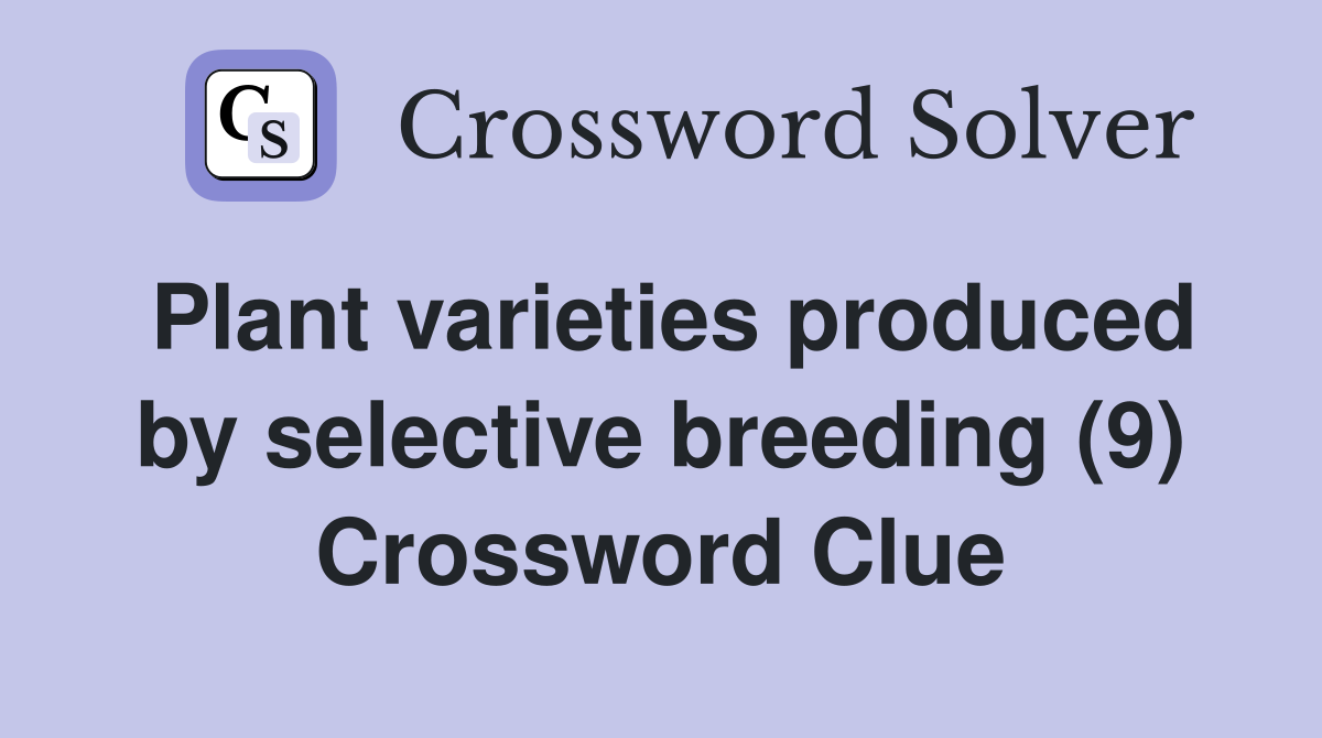 Plant varieties produced by selective breeding (9) Crossword Clue
