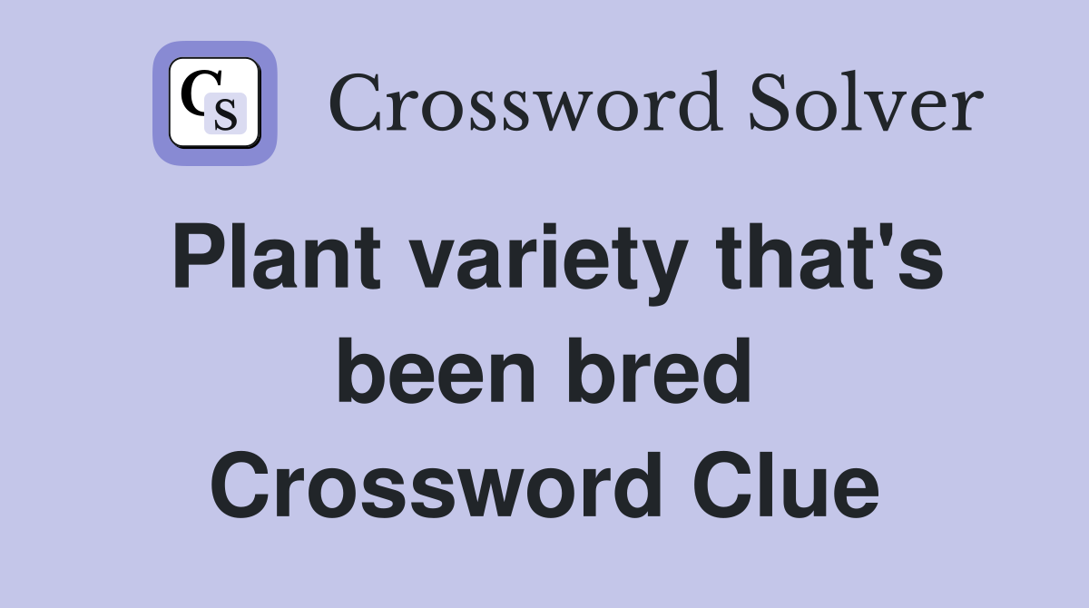 Plant variety that's been bred Crossword Clue