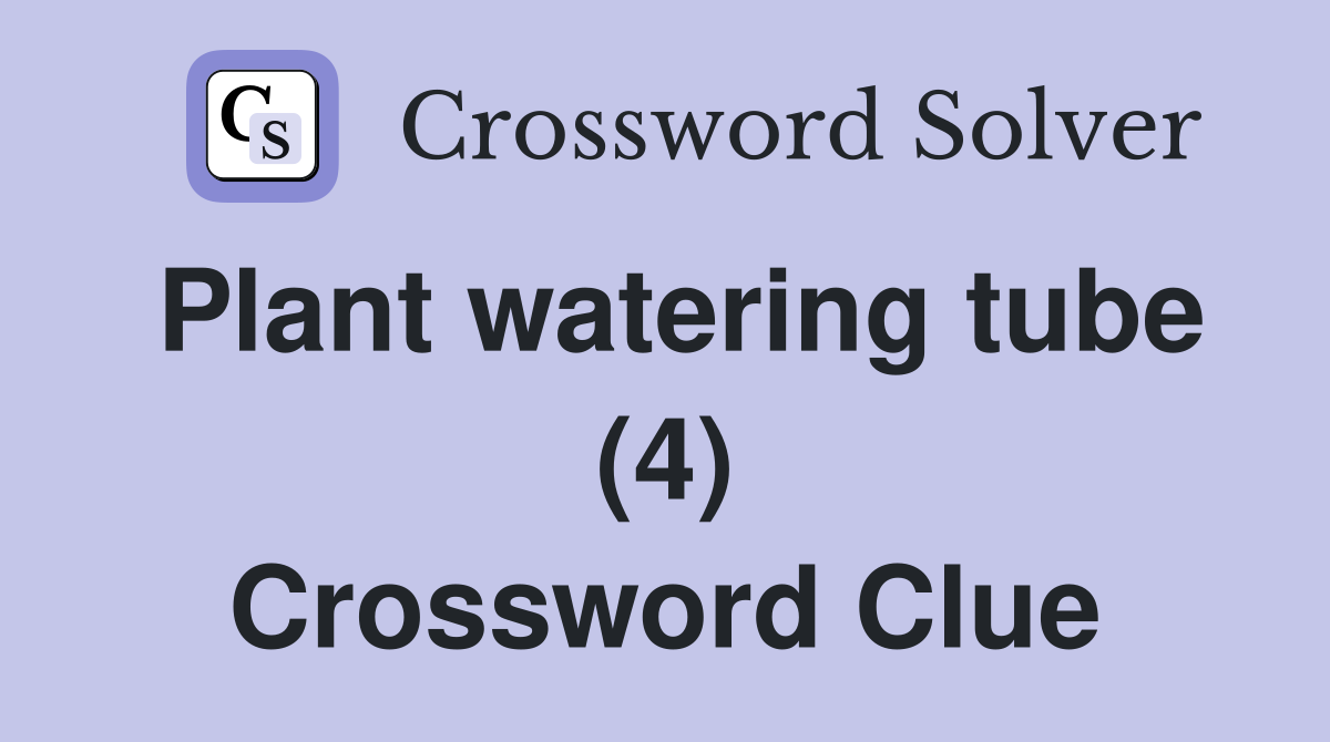 Plant watering tube (4) Crossword Clue
