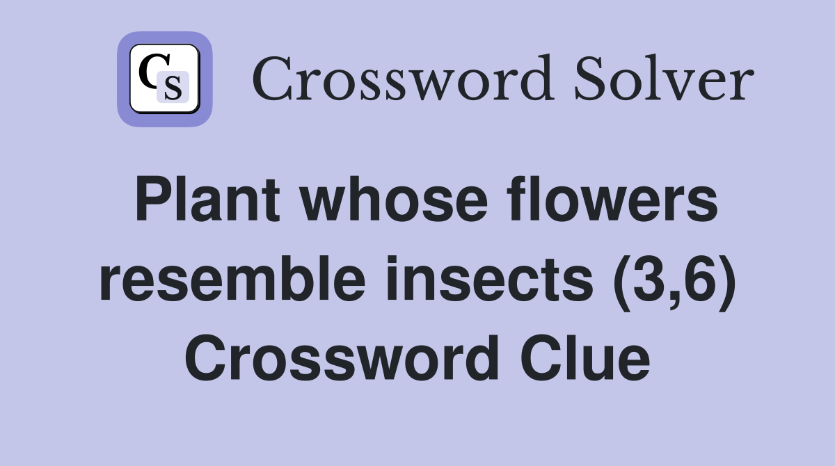 Plant whose flowers resemble insects (3,6) Crossword Clue
