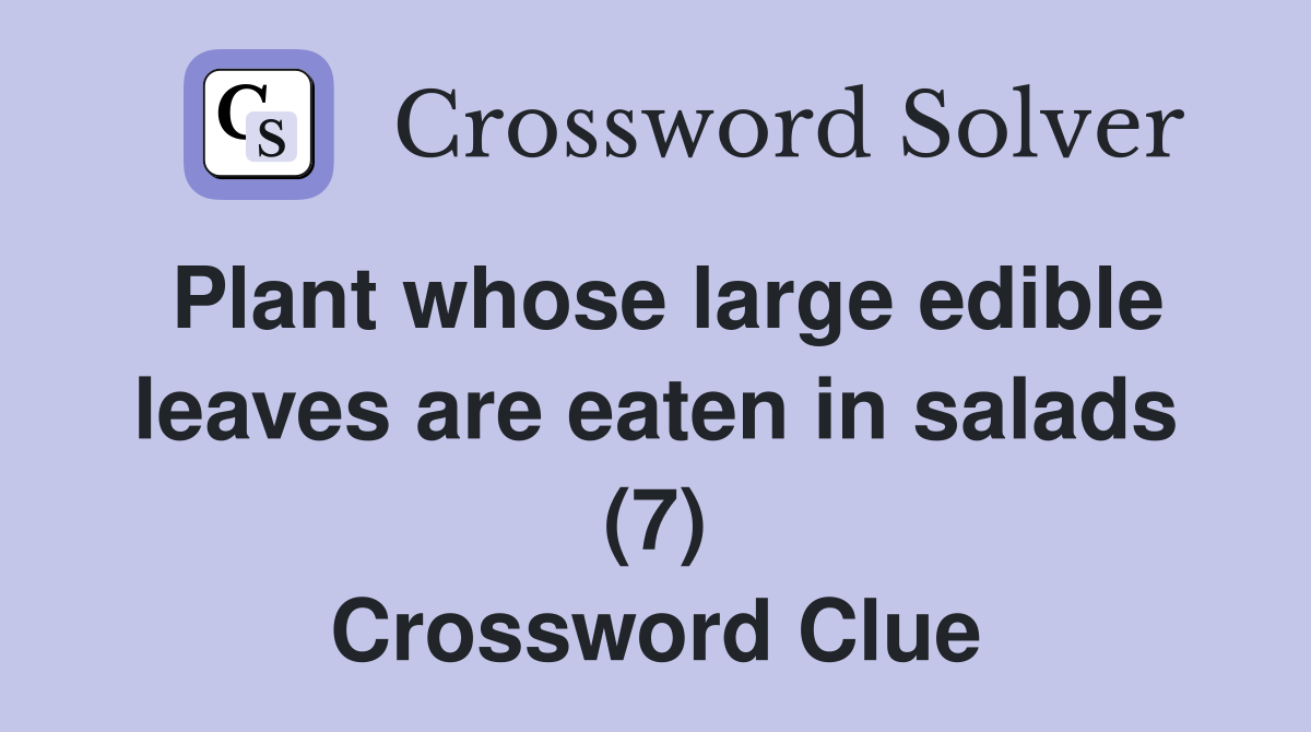 Plant whose large edible leaves are eaten in salads (7) Crossword Clue