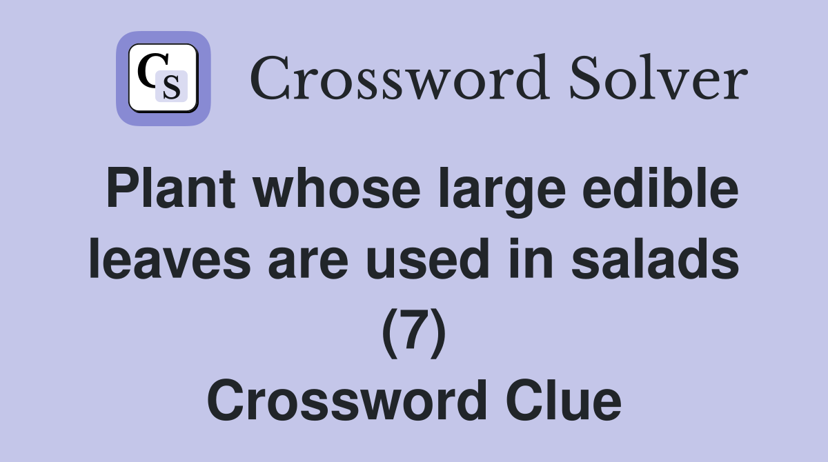 Plant whose large edible leaves are used in salads (7) Crossword Clue