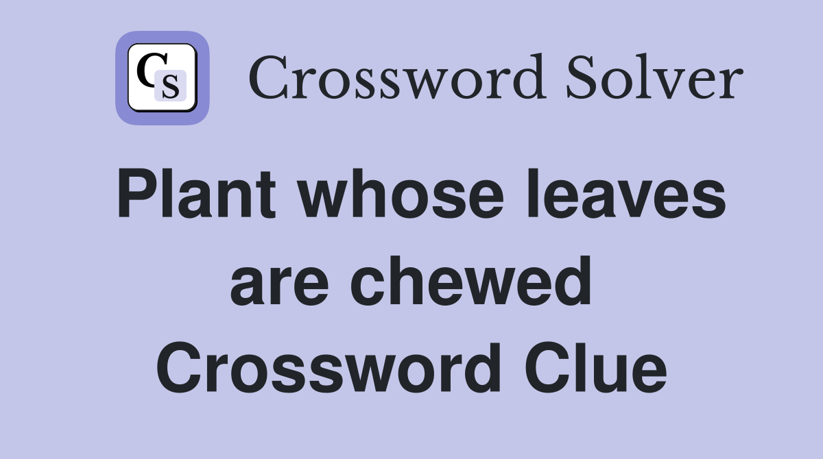 Plant whose leaves are chewed Crossword Clue