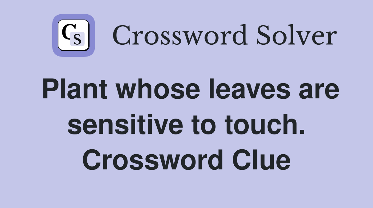 Plant whose leaves are sensitive to touch. Crossword Clue