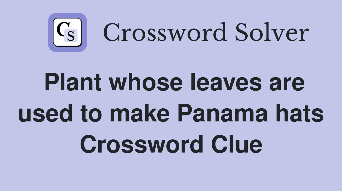 Plant whose leaves are used to make Panama hats Crossword Clue