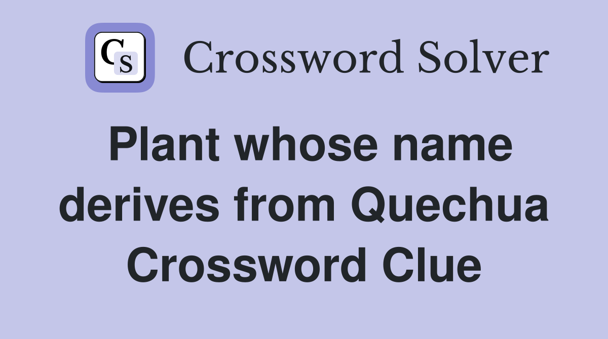 Plant whose name derives from Quechua Crossword Clue
