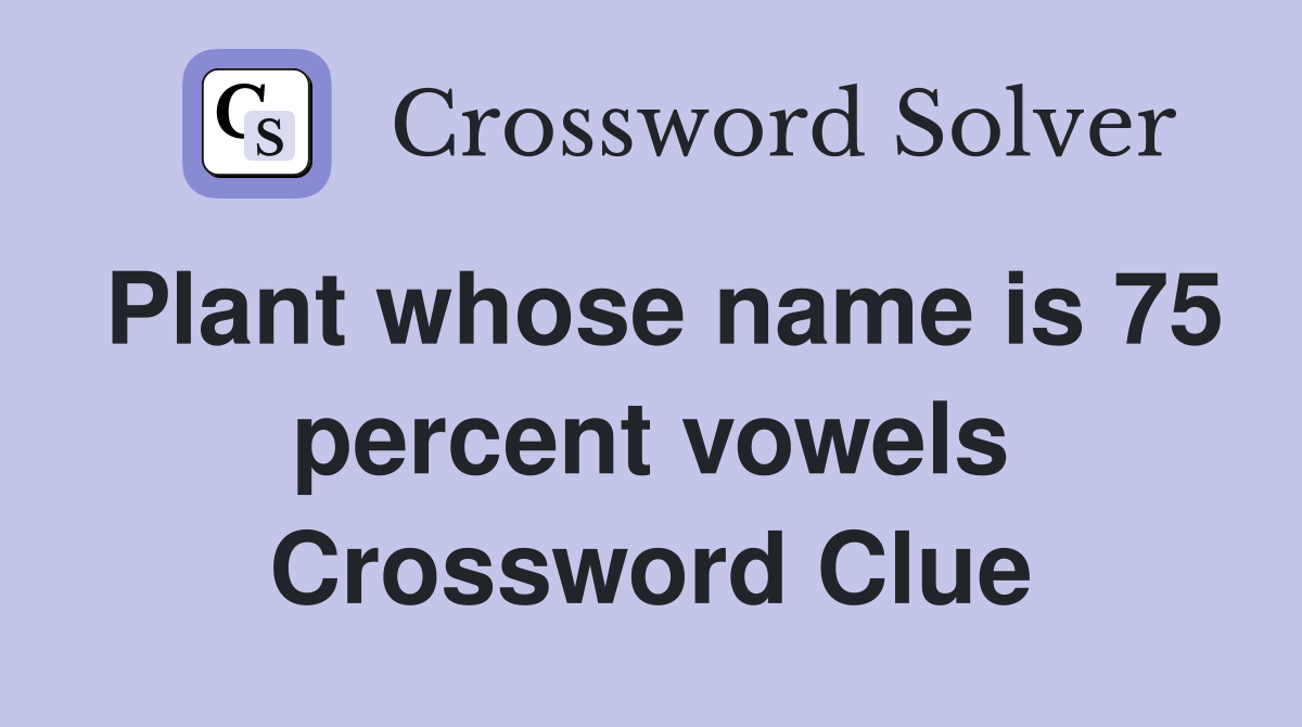 Plant whose name is 75 percent vowels Crossword Clue