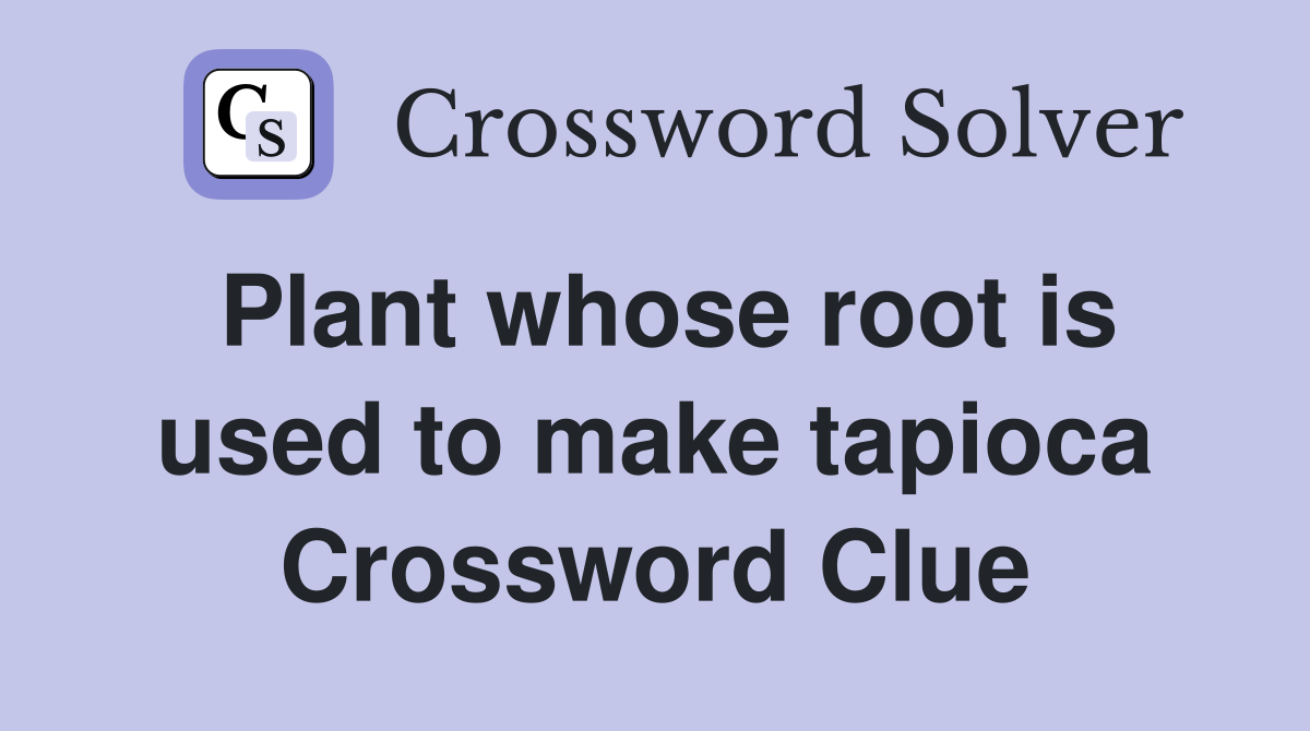 Plant whose root is used to make tapioca Crossword Clue