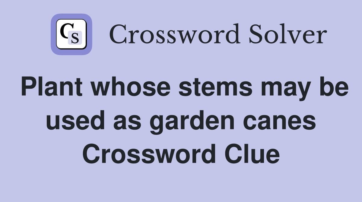 Plant whose stems may be used as garden canes Crossword Clue