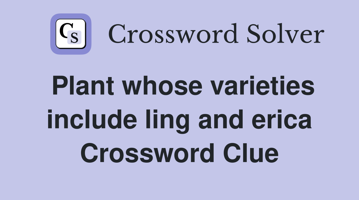 Plant whose varieties include ling and erica Crossword Clue