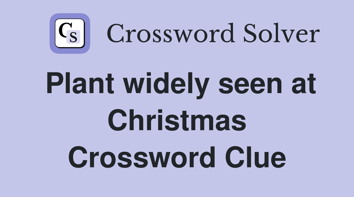Plant widely seen at Christmas Crossword Clue