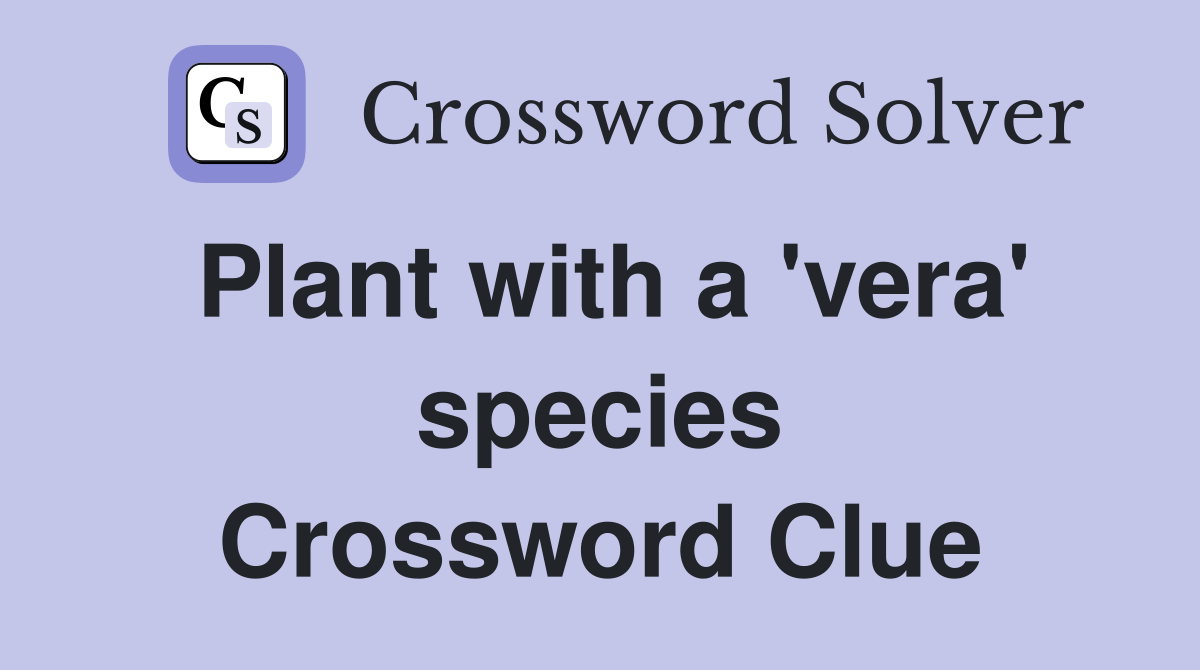 Plant with a 'vera' species Crossword Clue