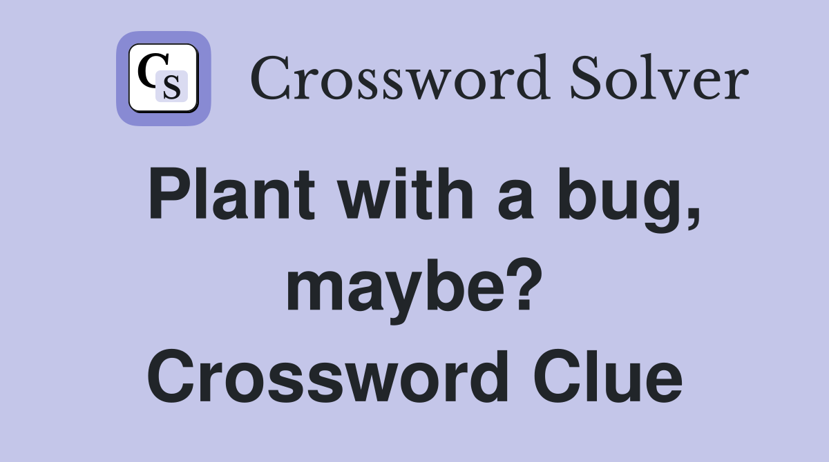 Plant with a bug, maybe? Crossword Clue