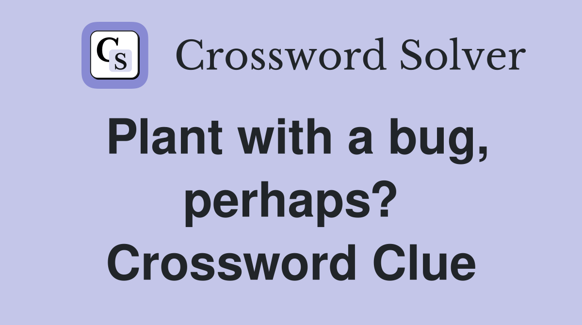 Plant with a bug, perhaps? Crossword Clue