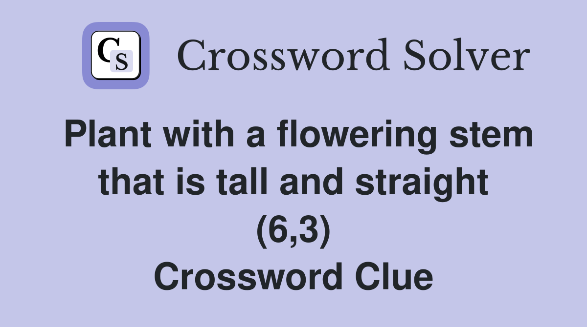 Plant with a flowering stem that is tall and straight (6,3) Crossword Clue
