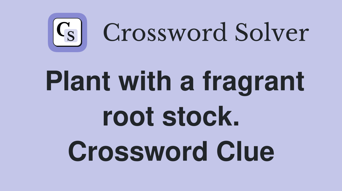 Plant with a fragrant root stock. Crossword Clue