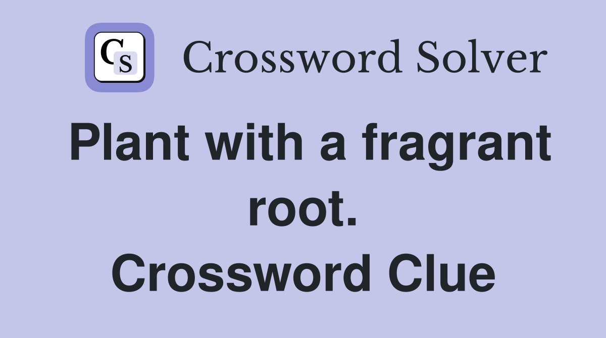 Plant with a fragrant root. Crossword Clue