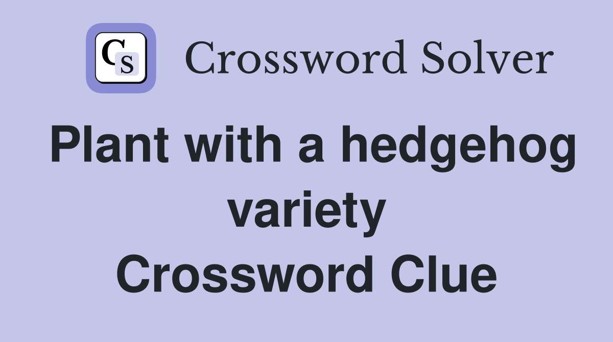 Plant with a hedgehog variety Crossword Clue