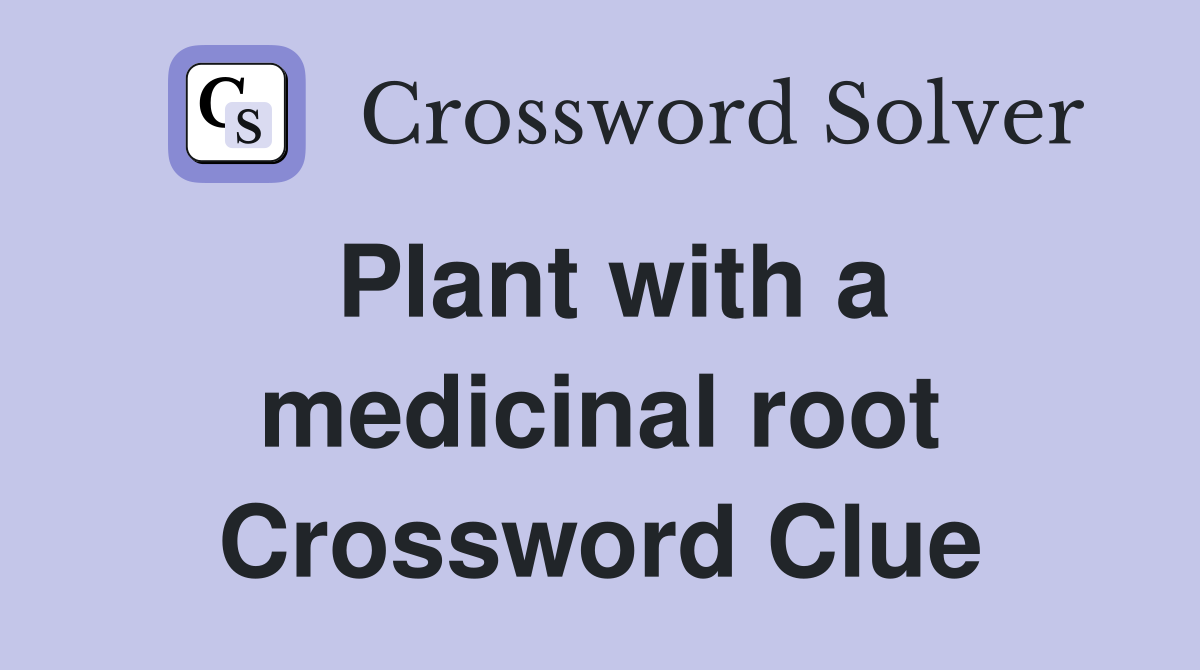 Plant with a medicinal root Crossword Clue